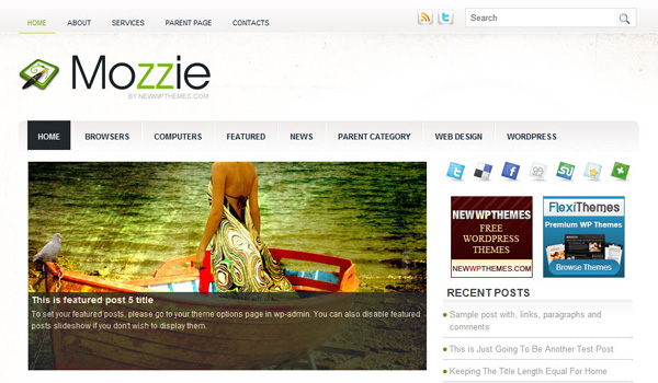 Mozzie WordPress Theme Review