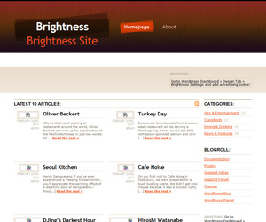 Brightness