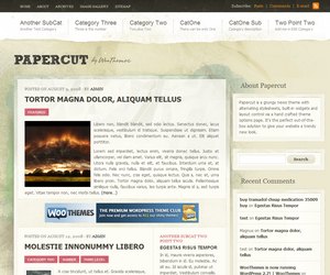 Preview Images for WooThemes Premium WordPress Themes