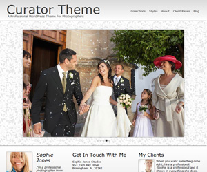 Curator Theme