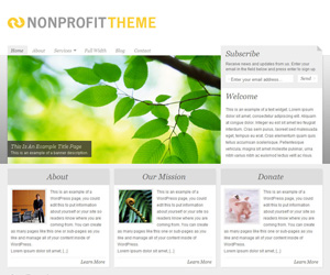 NonProfit 