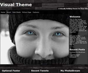 Visual Theme