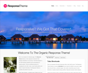 Response Theme by Organic Themes